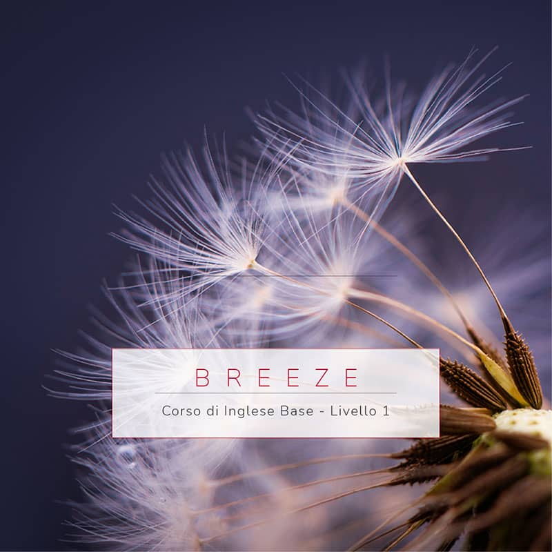 corso di inglese base livello 1 breeze