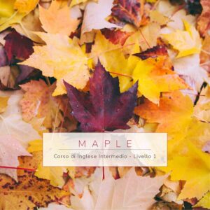 corso di inglese intermedio livello 1 maple